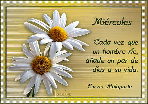 mgc-flores07_03Miercoles.jpg