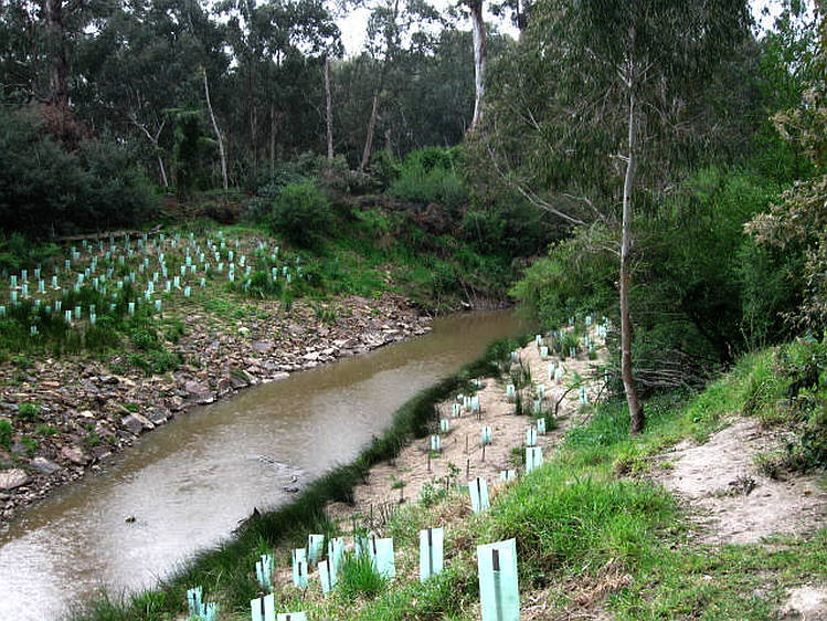 TRACKS, TRAILS AND COASTS NEAR MELBOURNE Barak Wetlands and Wingrove