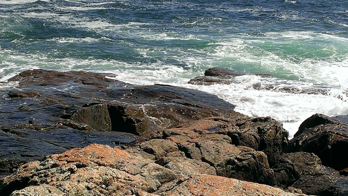 Daily Painting Practice Daily Painting Practice I have relocated and