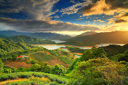 nature most amazing wonderful internet