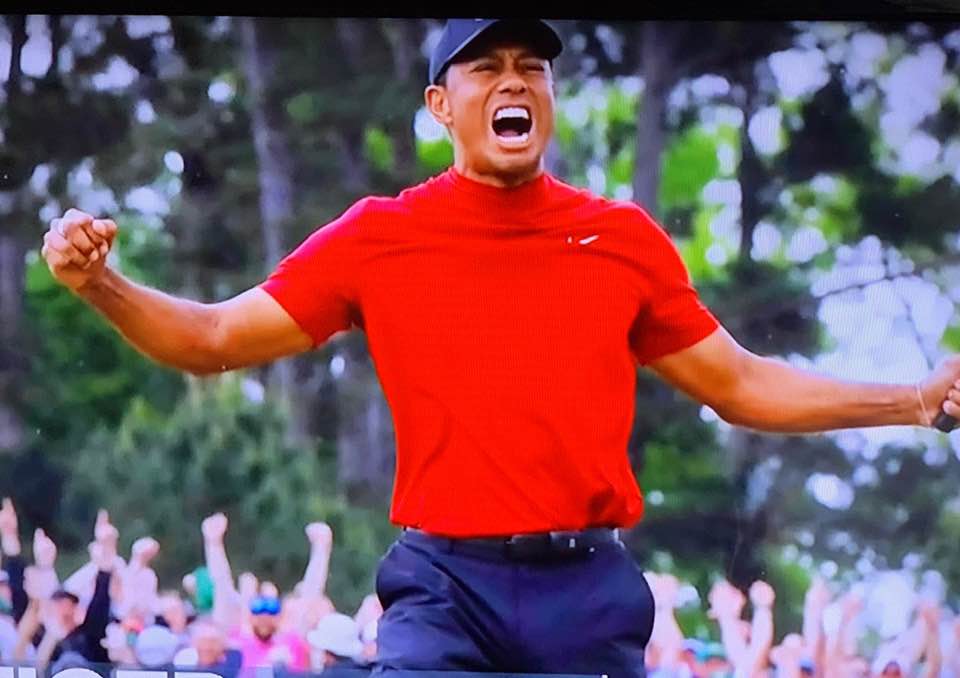 TIGER: HE IS BACK!