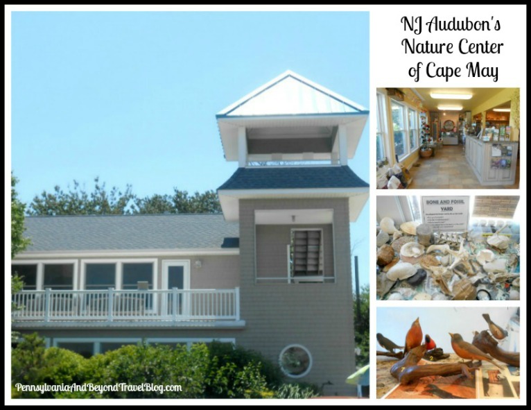 Pennsylvania & Beyond Travel Blog NJ Audubon's Nature Center of Cape May
