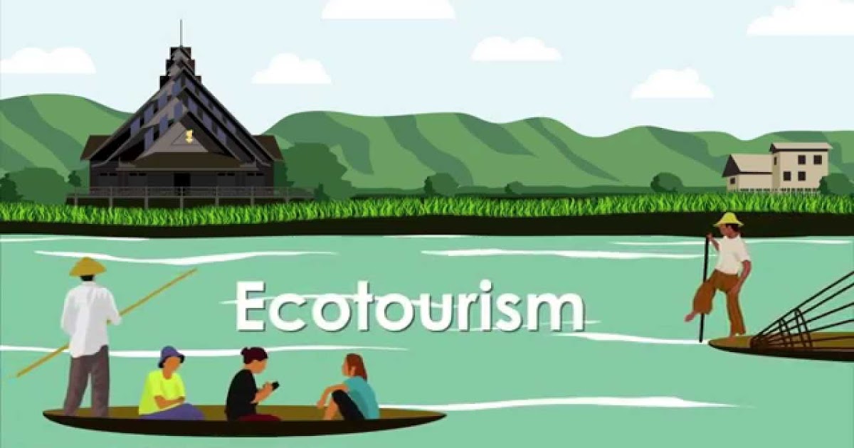 Eco-Tourism Trends: Exploring Nature Responsibly and Sustainably
