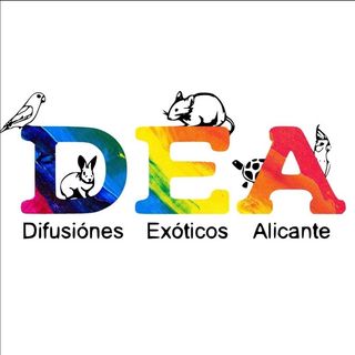 DEA - Difusiones Exóticos Alicante