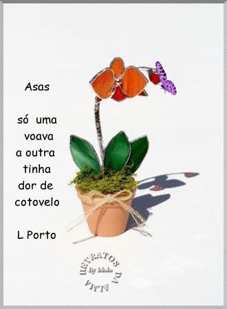 oie_overlay.gif