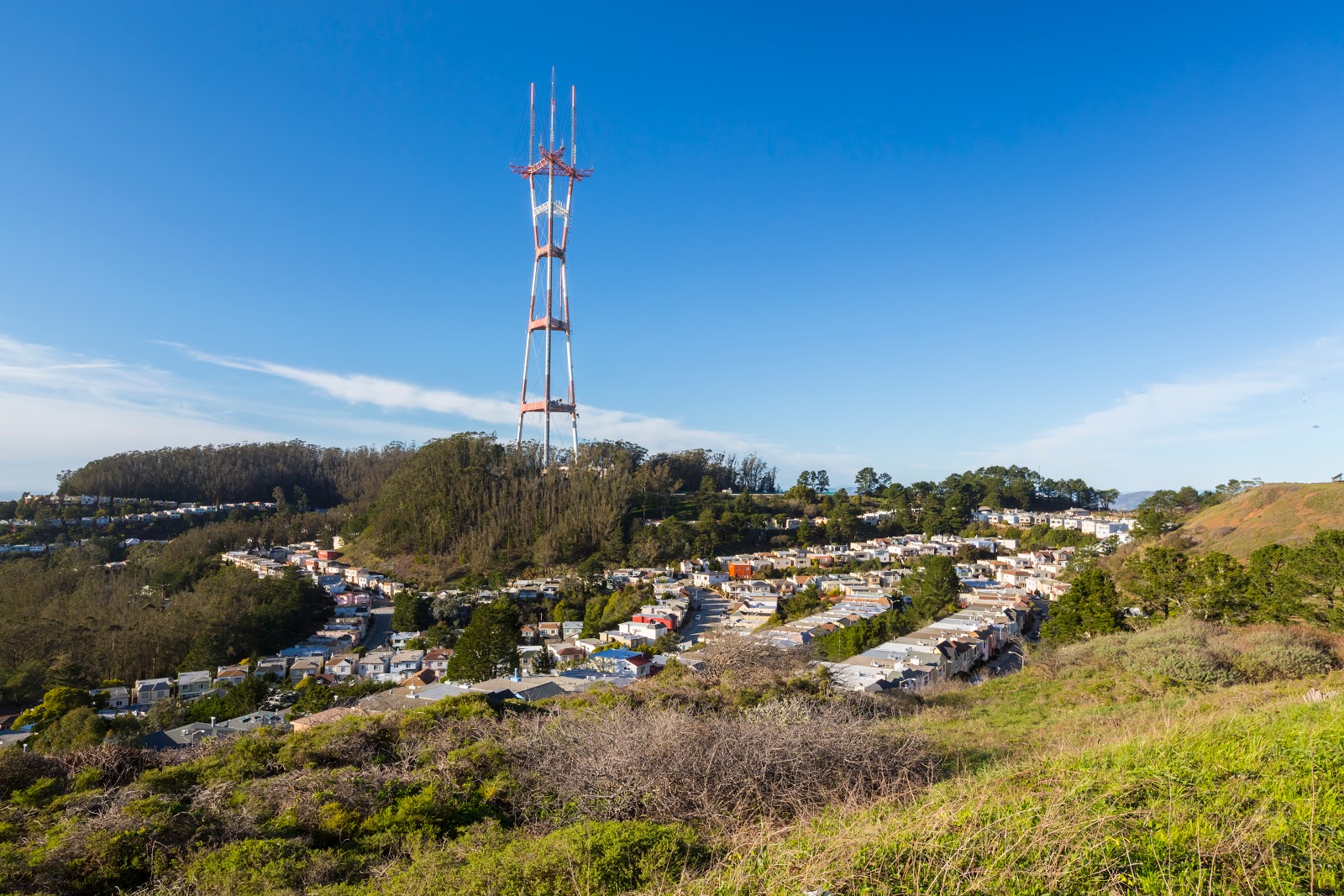 Naturetastic Blog Sutro Tower & Christmas Tree Point (Twin Peaks) San Francisco (Part 5)