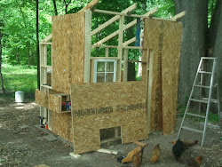 coop chicken own build cognition christian