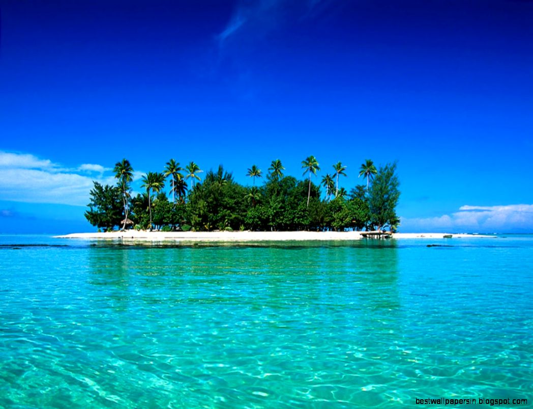 wallpaper Wallpaper Free Dwn