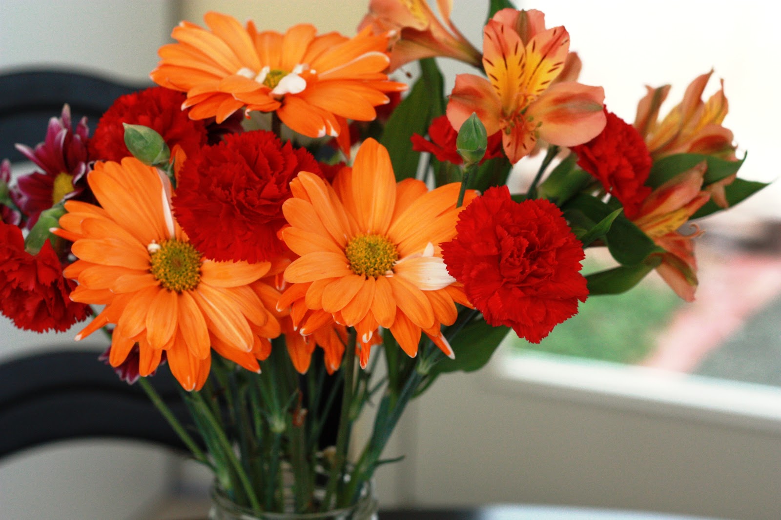 PaperTurtle Flowers in the House