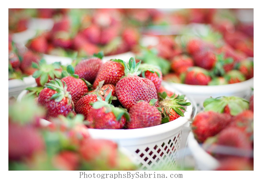 Photographs by Sabrina Lisa of Marvelous Pies