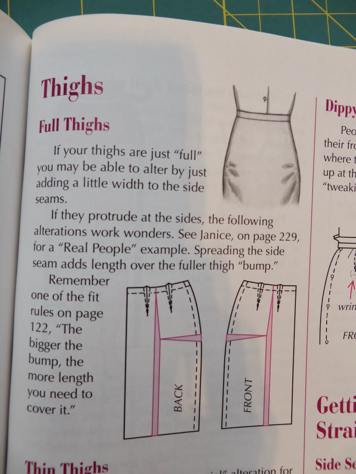 today's agenda Pencil Skirt My Fit Fixes