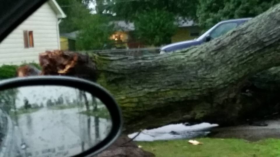 Michigan Weather Geek Storm reports in Tornado confirmed in Owendale