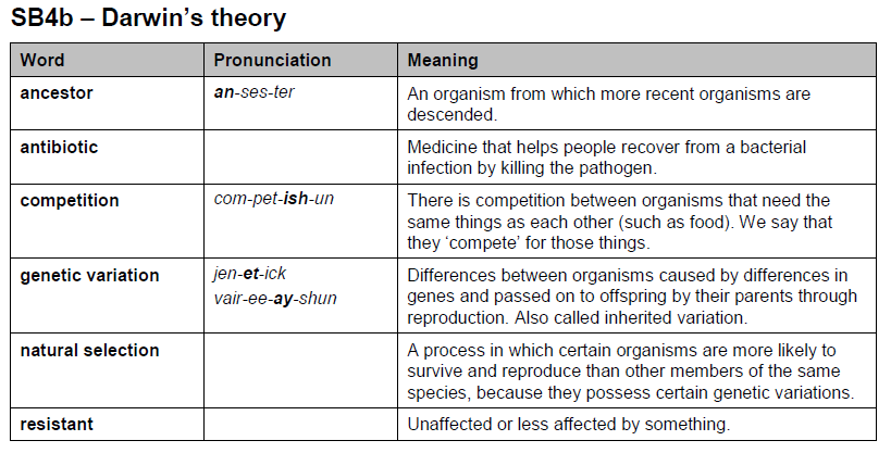 Acids and alkalis worksheet grade 6 picture