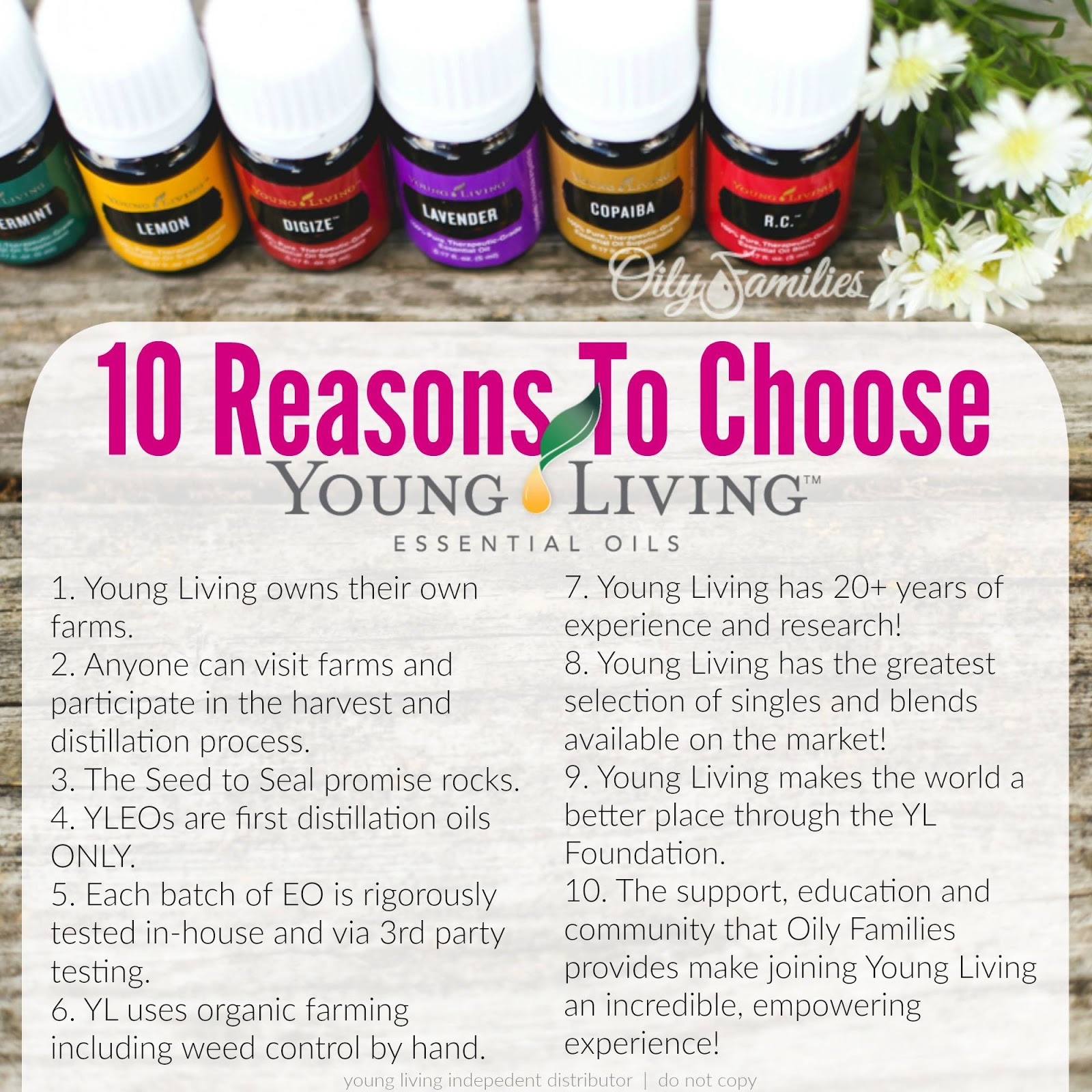 Oily Life How and Why to Get Started with Essential Oils