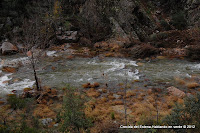Hablando en verde Crecida del Río Estena