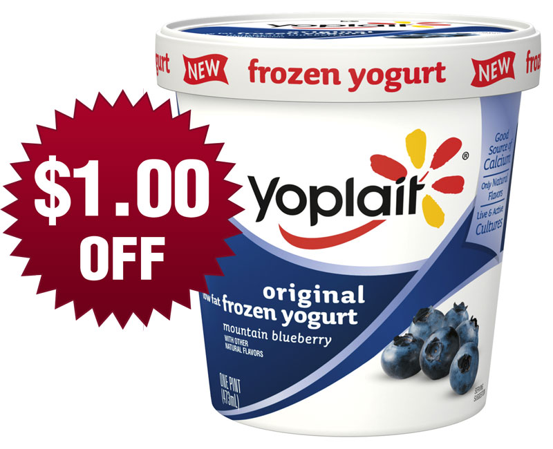 Sally s Coupons Yoplait Yogurt Printable Coupons 1 OFF  Sally s Coupons Yoplait Yogurt Printable Coupons 1 OFF