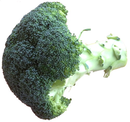 broccoli-afbeelding