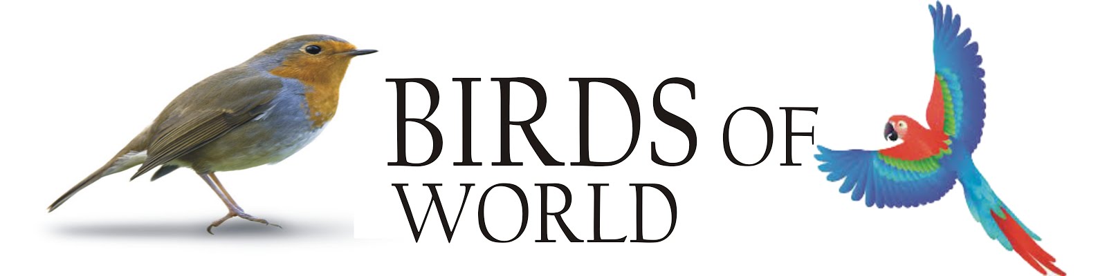 Birds Of World