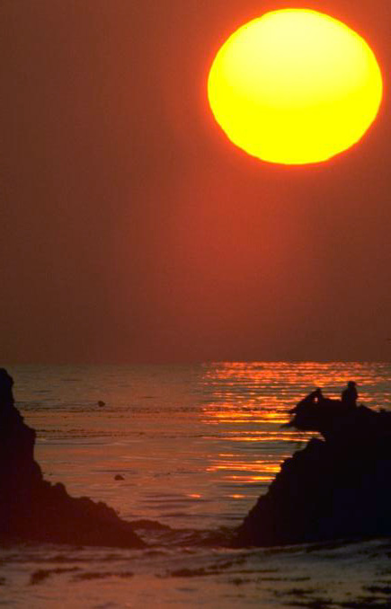 All photos gallery: free nature photos to download, free images royalty