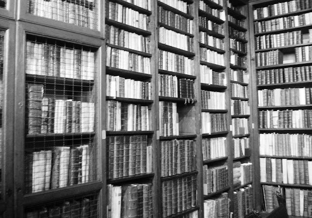 Imagen de una biblioteca (archivo del autor)