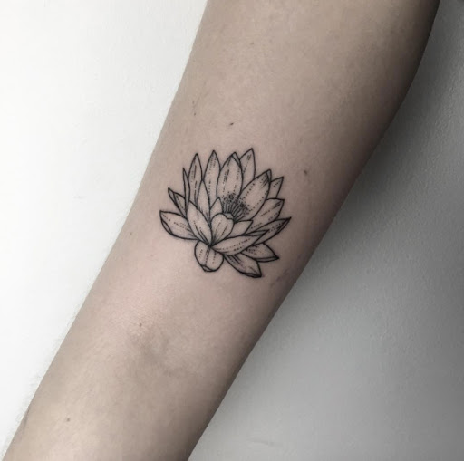 Esta flor de lótus