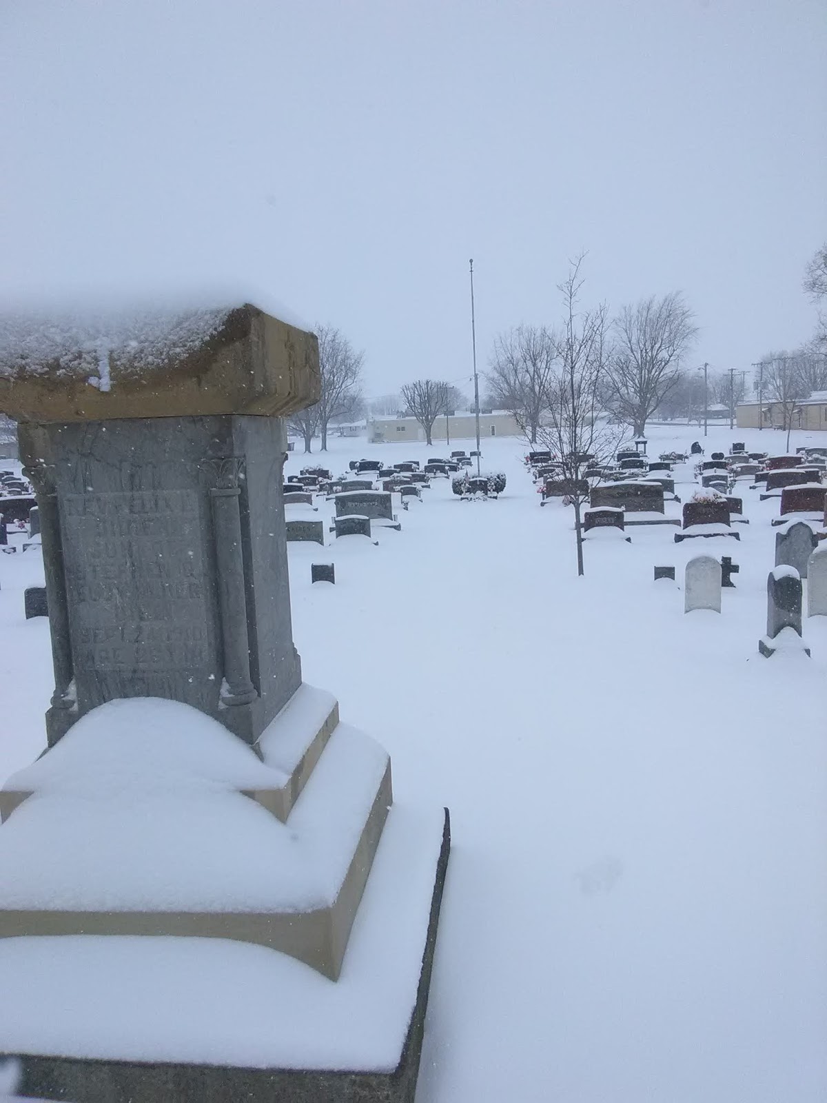 Bonfire of the Vanities Snowy in Russia (Ohio)