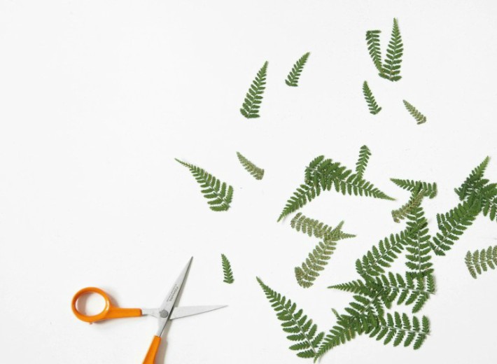 Diy lámpara con motivos de botánica