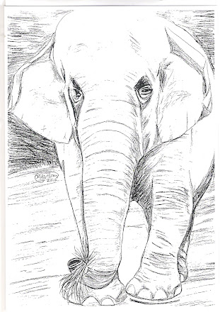 Elephant pic