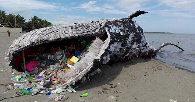 washed up whale plastic