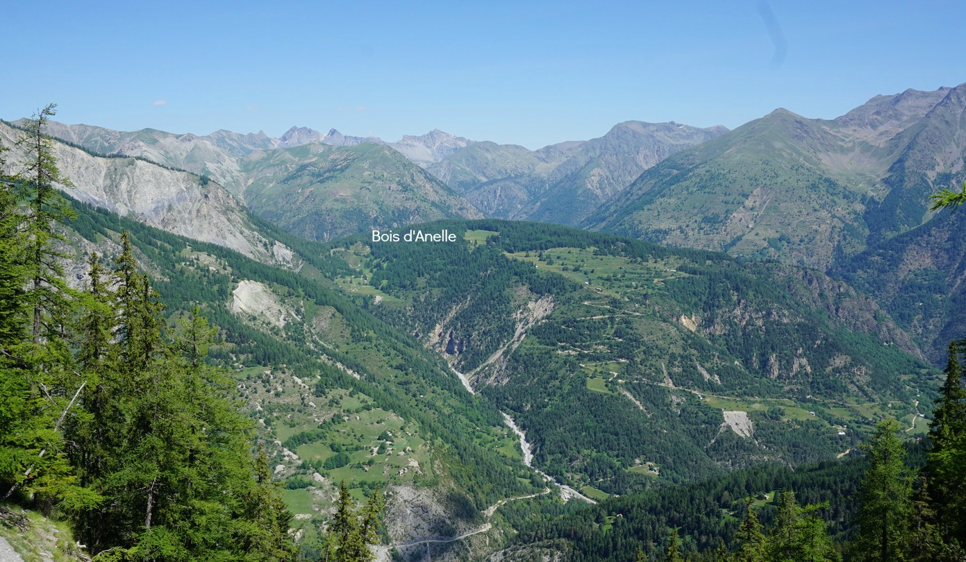 Bois d'Anelle seen from Pinatelle forest