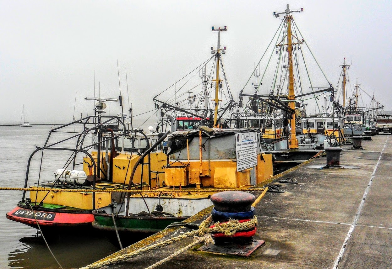 CME Limerick & Killaloe Readings, hymns and sermon ideas for Sunday 21