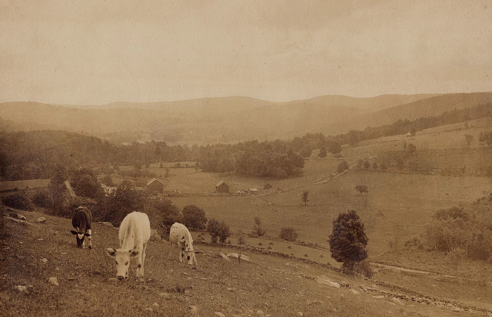 Cornwall Historical Society Cornwall's Dairy Farms