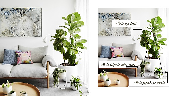 Cómo hacer composiciones con plantas