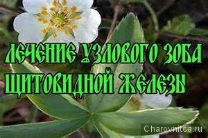  Полезно знать