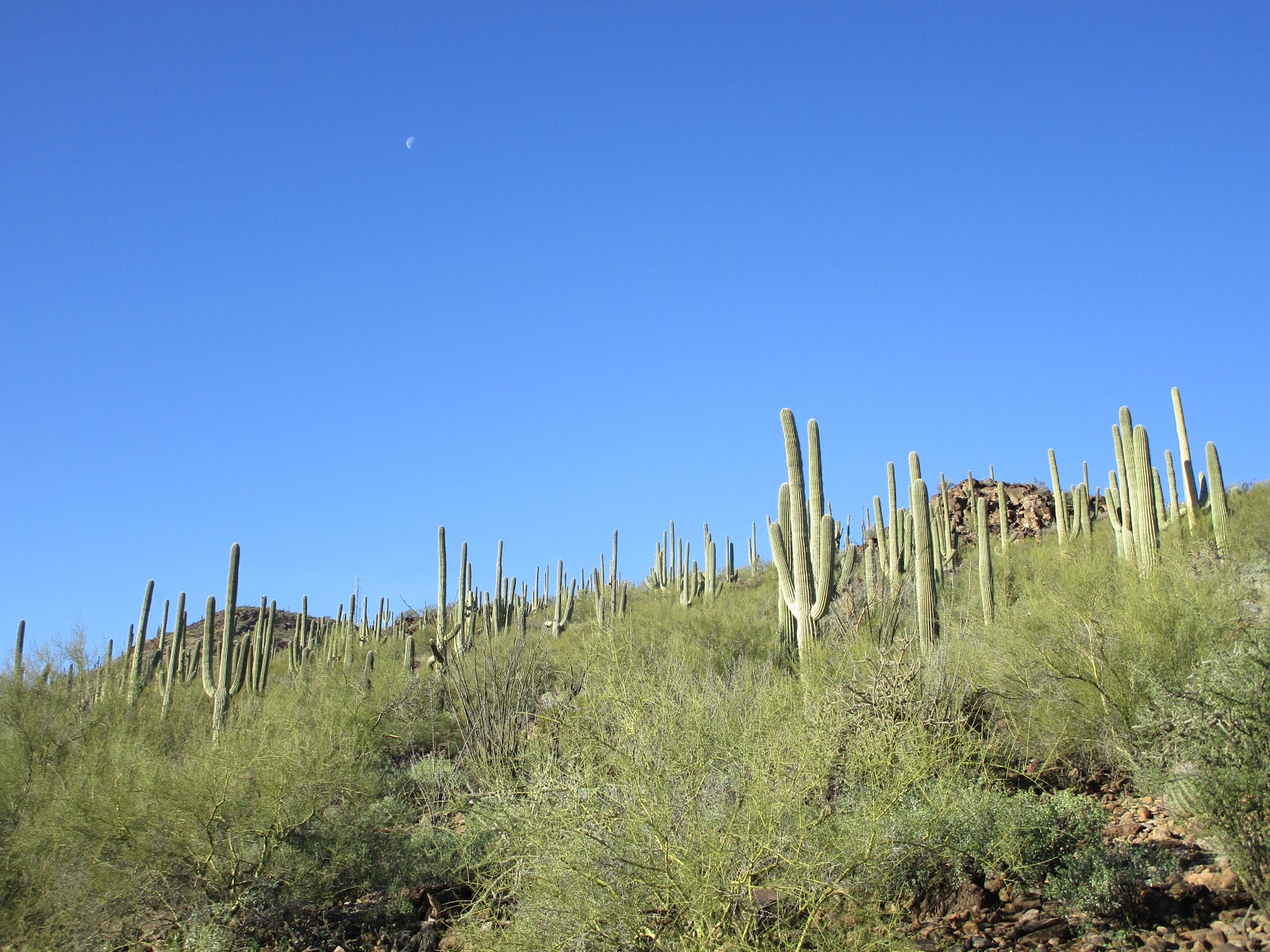 Путешествие в Аризону arizona