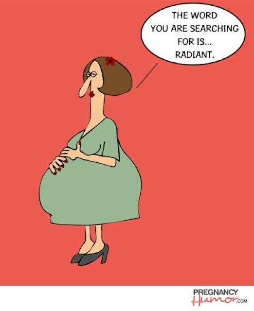 Click through for more hilarious pregnancy funnies! What NOT to say to a pregnant woman -- funny pregnancy and baby memes -- first, second, and third trimester humor! via Devastate Boredom