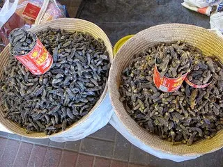 The most common ways to eat mopane worms are dried and fresh photo by leo laempel