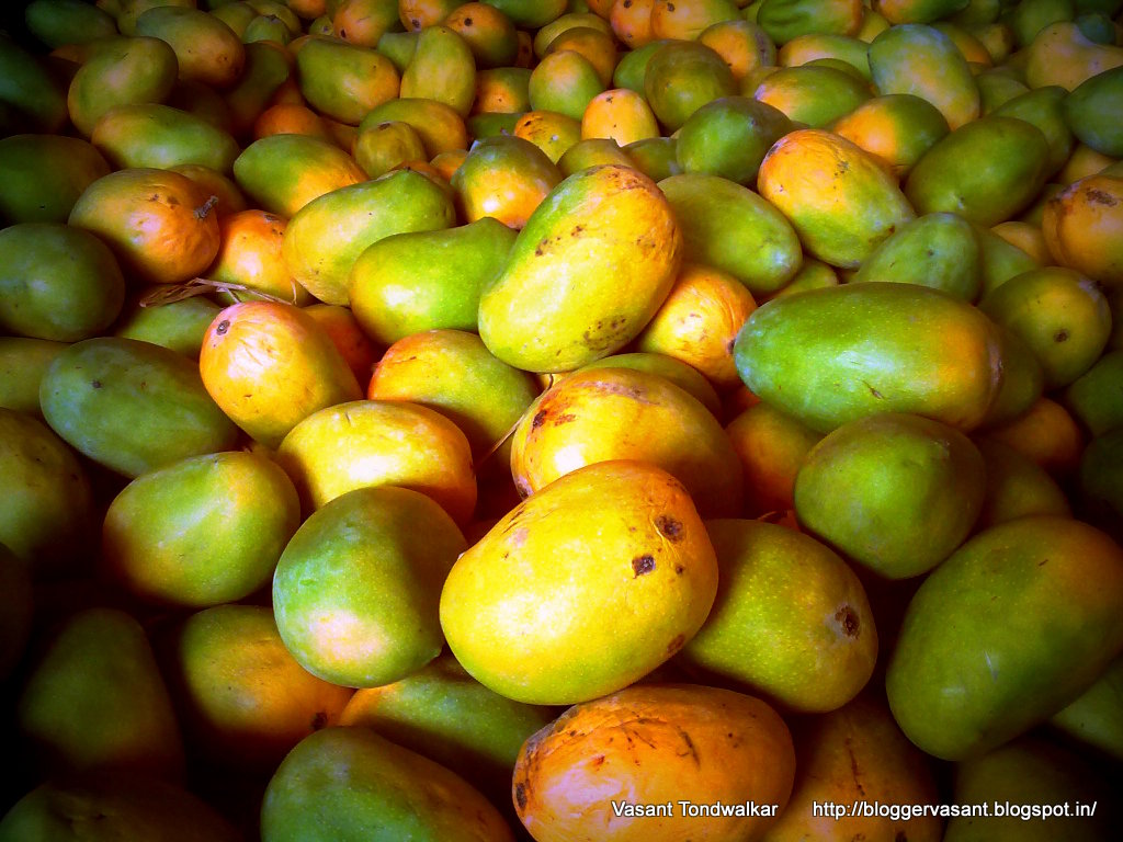 Viewfinder: Mangoes