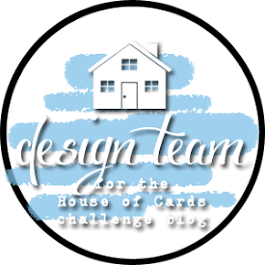 Past Design Team Member