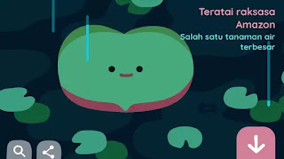 Teratai Raksasa Amazon, Google Doodle Teratai Raksasa Amazon, Google Doodle
