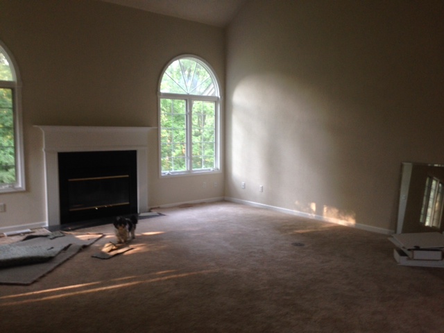 Before pic of living room at fixer upper - Hello Lovely Studio