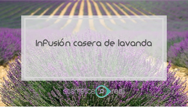  Infusion casera de lavanda 