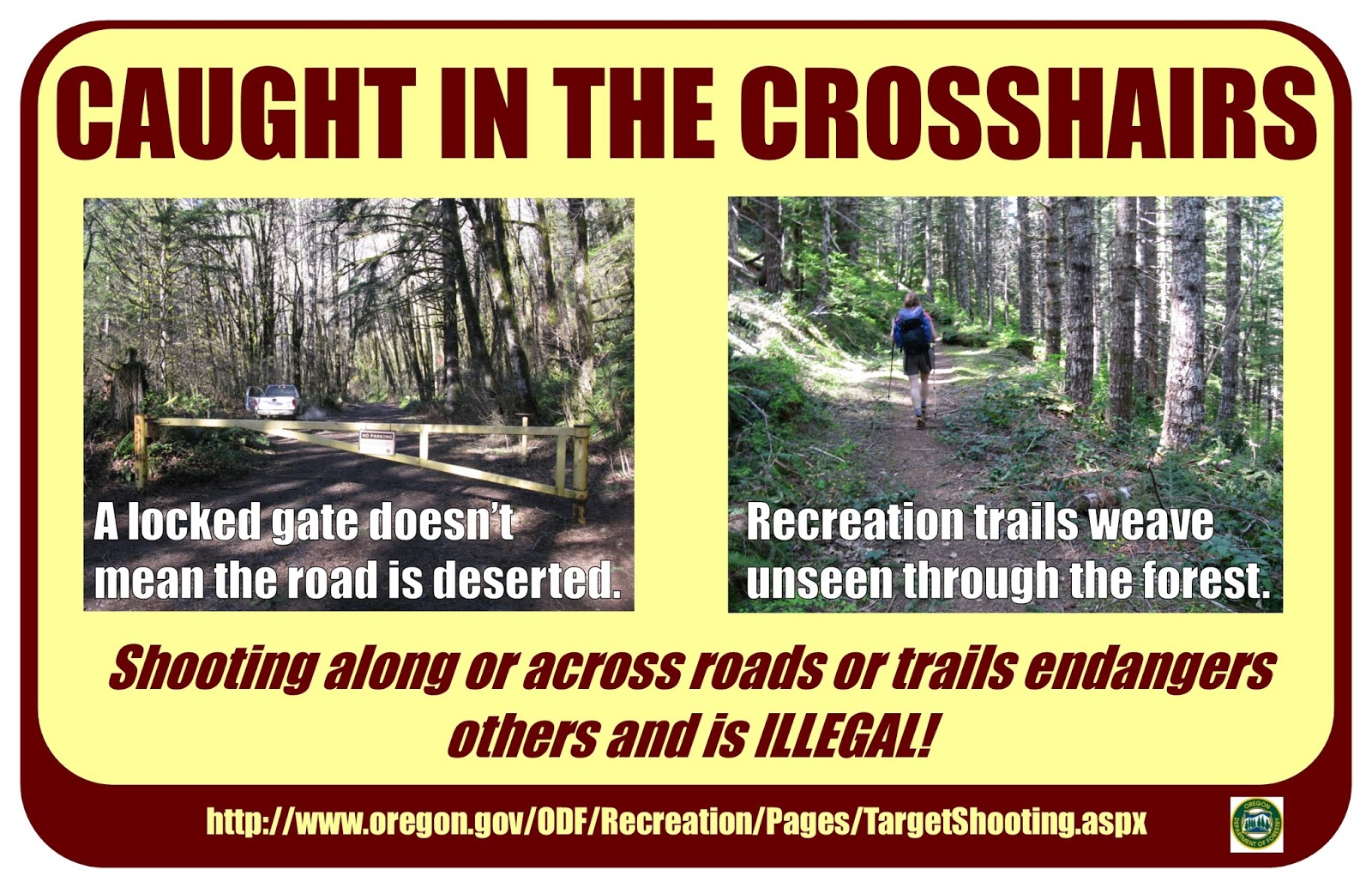 Tillamook State Forest Blog Target Shooting