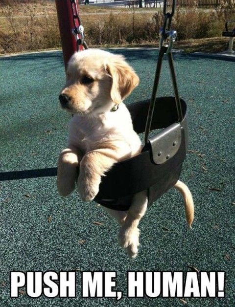 Momento "No comments",  Momentos de descontração