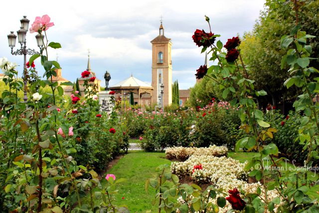 foto plaza cervantes de alcala