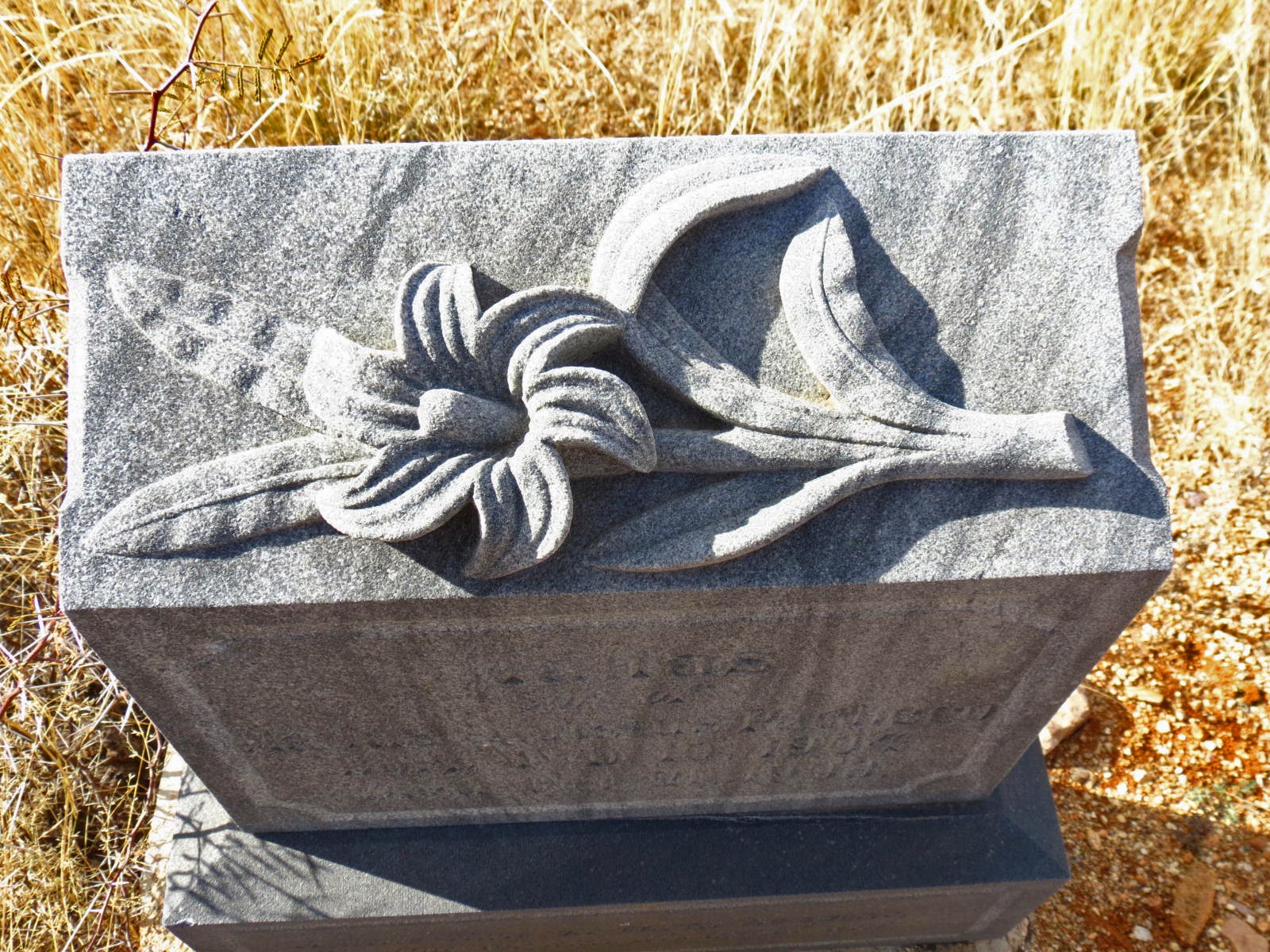 A Shot in the Light Pioneer Cemetery at Dos Cabezas, Arizona