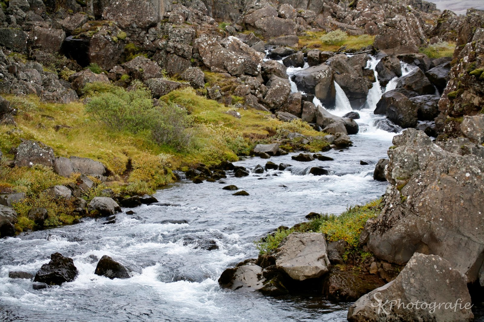 The Social Traveler A Lusatian Lakeland Cycling Adventure