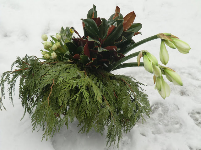 fresh wintergreens