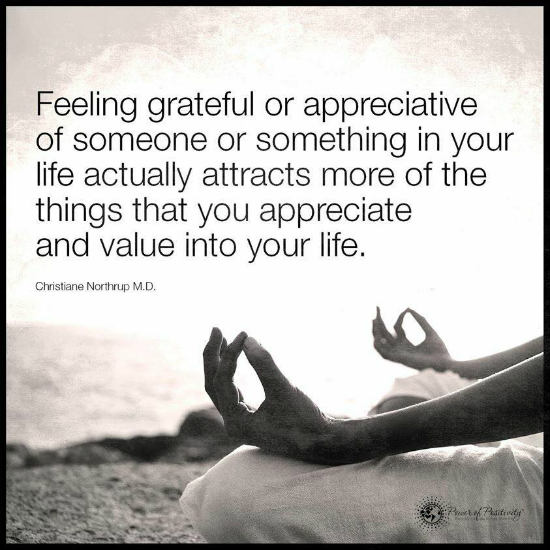 Feeling grateful or appreciative of someone or something in your life