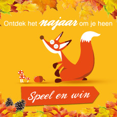 www.landal.nl/najaargame